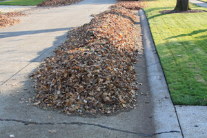 leaf%20in%20windrow%20SAVE.jpg